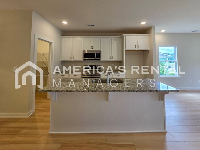 Building Photo - New Construction Townhome Available NOW!