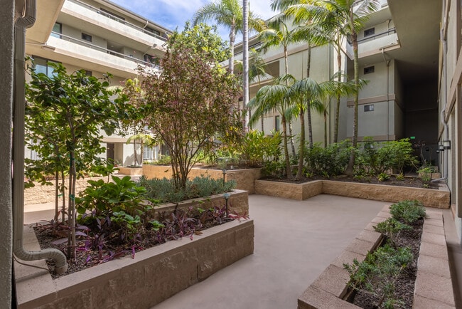 Building Photo - 1007 S Catalina Ave