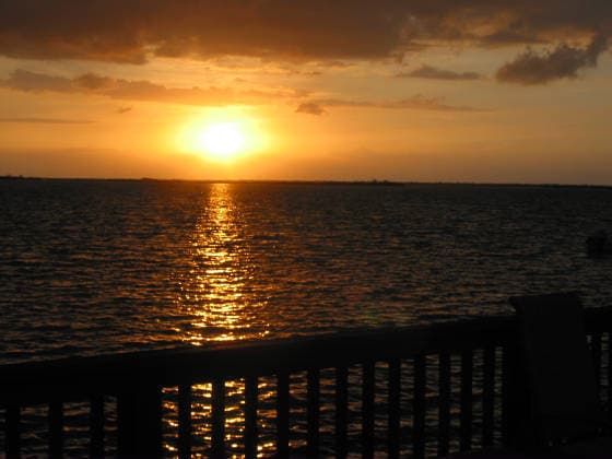 Building Photo - 3655 Seaside Dr