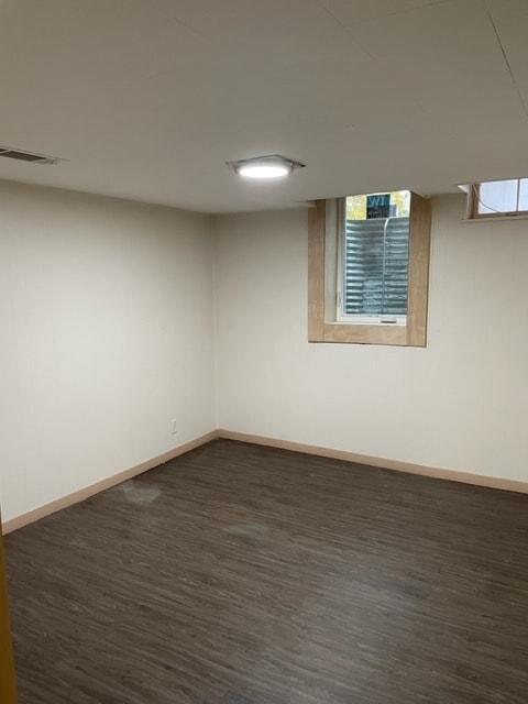 basement bedroom - 1919 George Washington Blvd