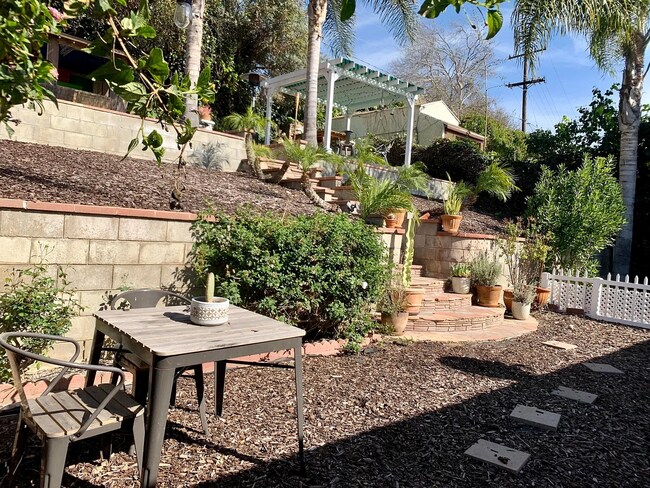 Building Photo - Beautiful 2 bed 2 bath