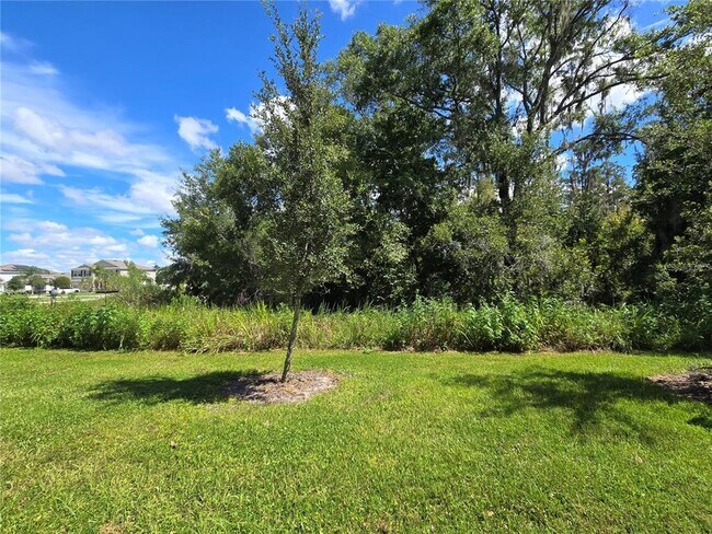 Building Photo - 32803 Pez Landing Ln