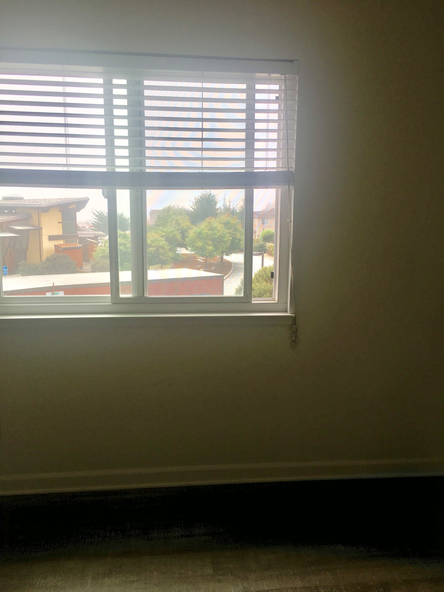 Bedroom. Natural lighting. Dual pane windows. - 419 Sailfish Dr