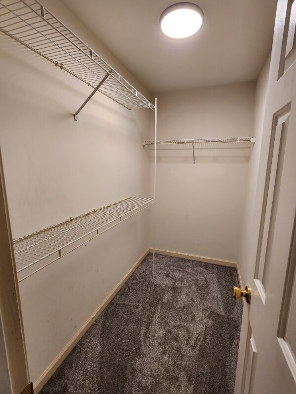 Building Photo - 5 Box Turtle Ct