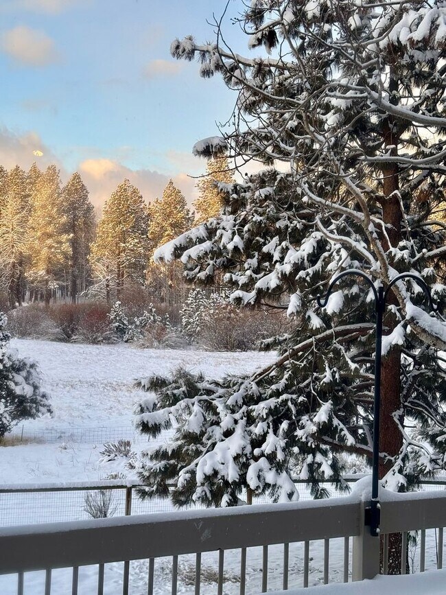 Building Photo - HUGE Custom-Designed Dream Home bordering ...