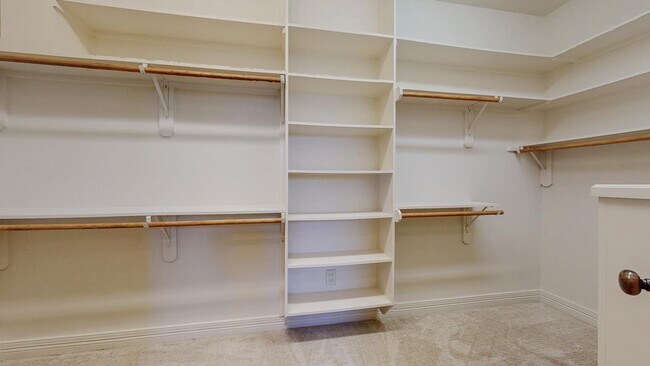Building Photo - 313 Winding Brook Dr