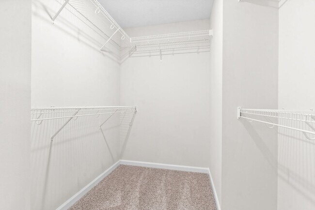 Building Photo - Brand New - 3 Bedroom 2 1/2 Bath Home For ...