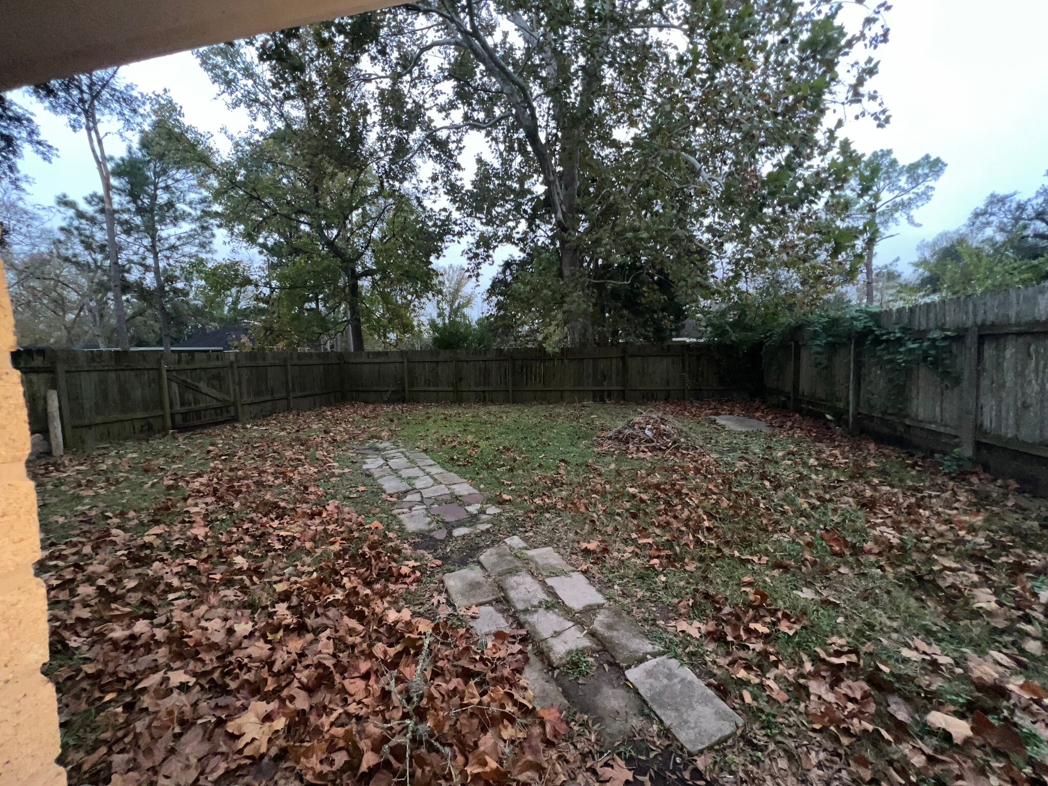 Backyard - 101 N Orange St