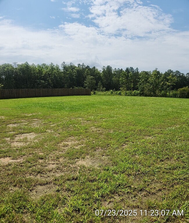 Building Photo - 64 Sunflower Cir NE