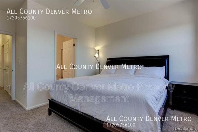 Building Photo - 5437 Zephyr Ct