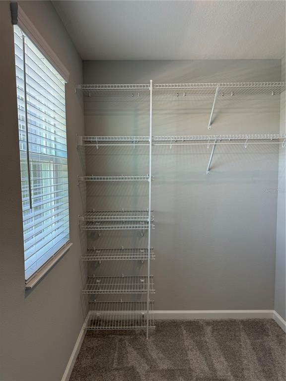 Building Photo - 212 Beautyberry Ln