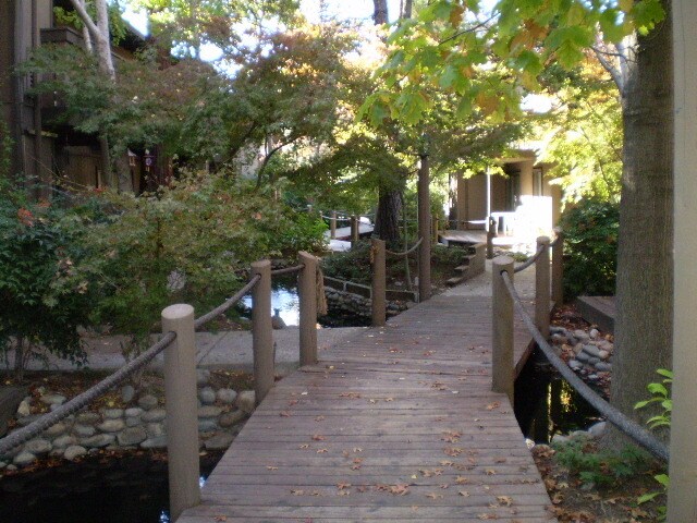 Building Photo - Stunning Timberlake Lodge Condo in Quiet Arden-Arcade Community!