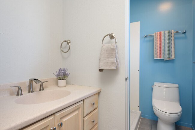 Building Photo - San Mateo Highlands Eichler Mid-Century 3/...