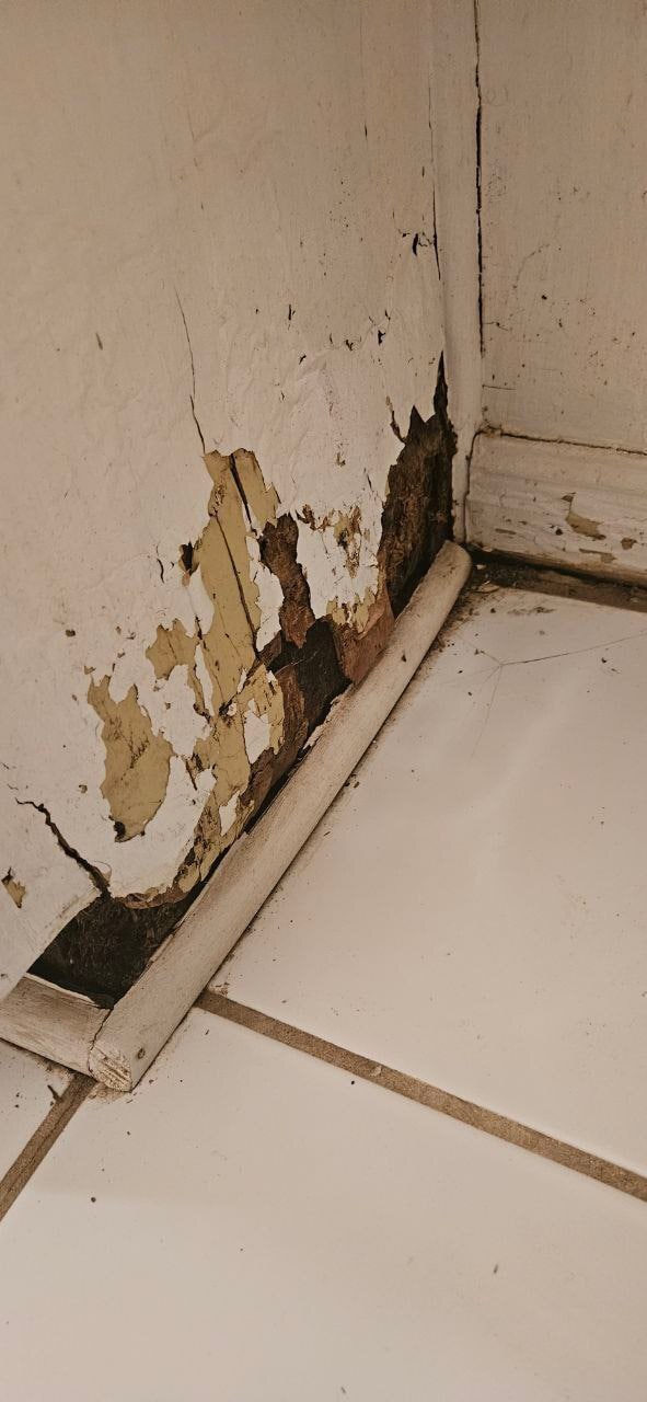 Building Photo - 1200 E Franklin St