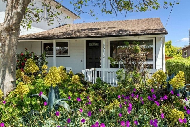 Building Photo - 36182 Magellan Dr