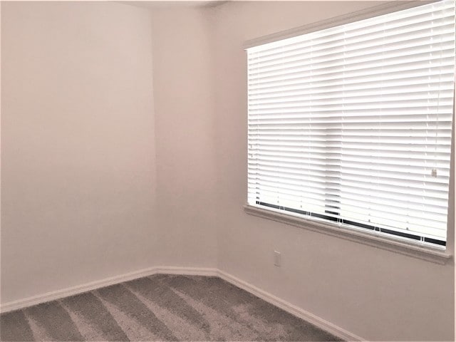 Building Photo - 12528 Ballentrae Forest Dr