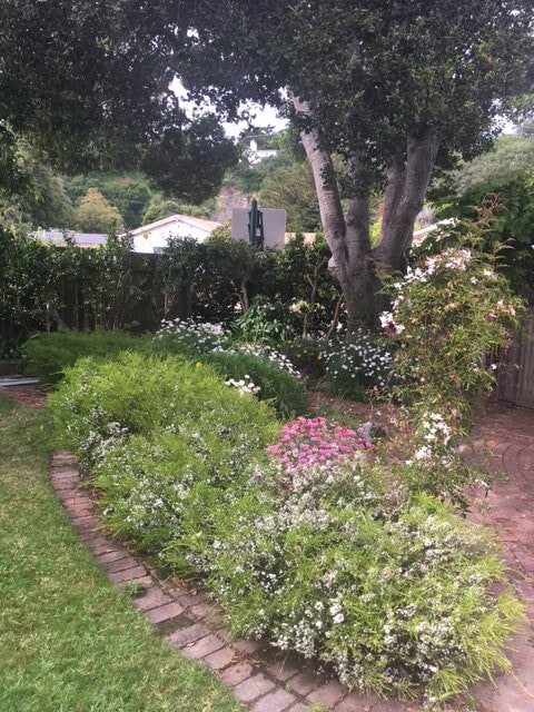 Building Photo - 26413 Birch Pl