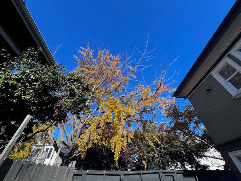 Building Photo - 1037 Peralta St