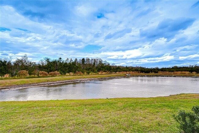 Building Photo - 17485 Spanish Oak Lp