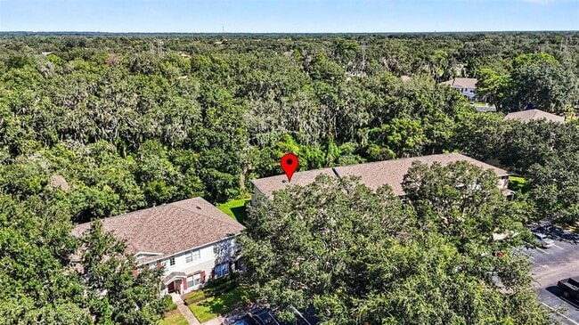 Building Photo - 5815 Fishhawk Ridge Dr
