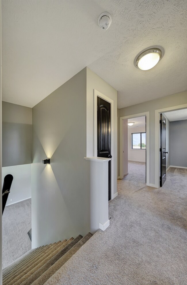 Building Photo - 7339 Yankee Woods Dr