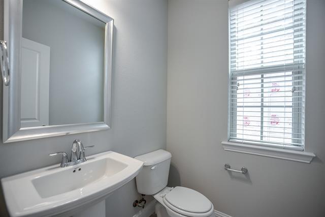 Building Photo - 3308 Damsel Sauvage Ln