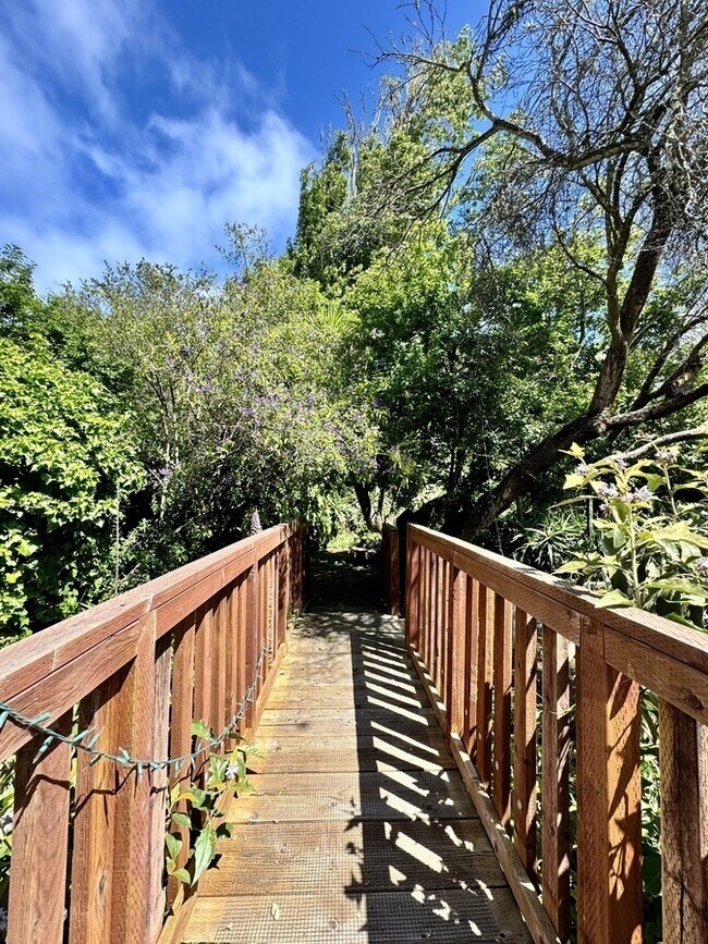 Building Photo - 2536 Sutter St