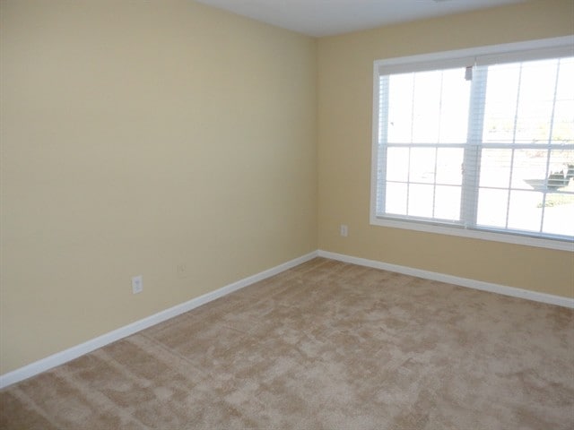 Building Photo - 1319 Station Ridge Dr