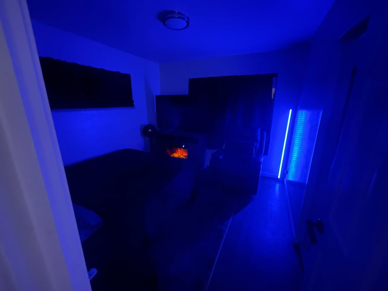 Building Photo - 2528 14th Ave Ct