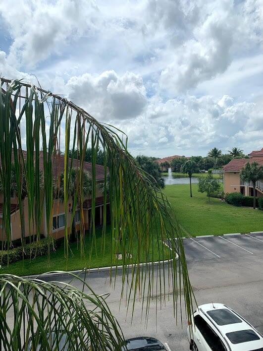 Building Photo - 251 SW Palm Dr