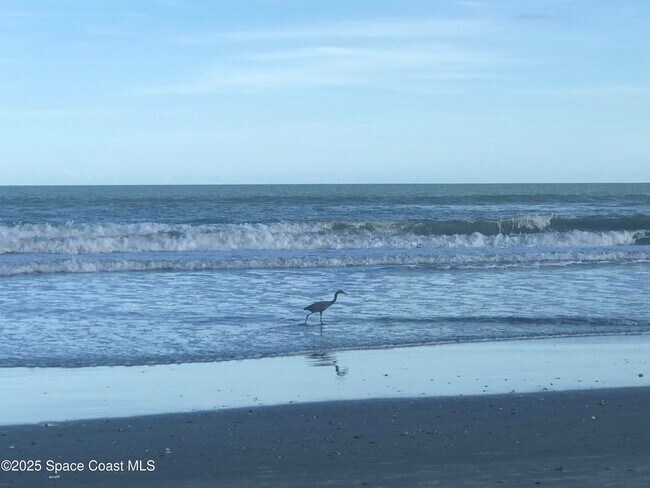 Building Photo - 2100 N Atlantic Ave