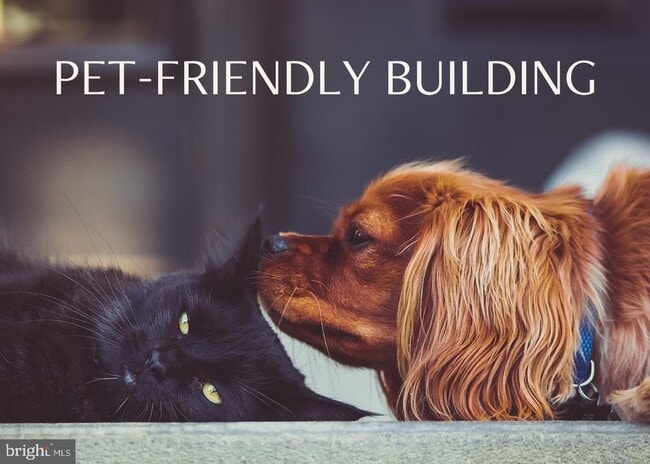 Building Photo - 5885 Colorado Ave NW