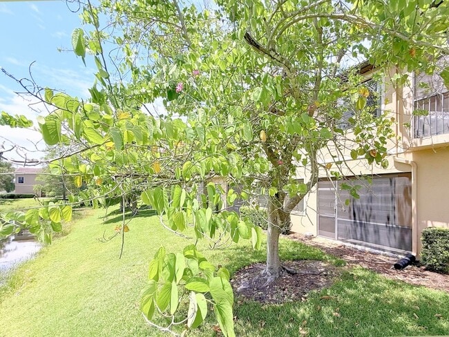 Building Photo - 4207 Via Piedra Cir