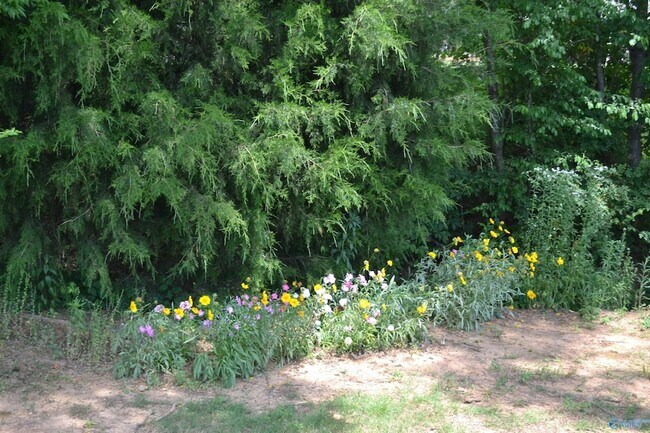 Building Photo - 104 Rushing Brook Dr