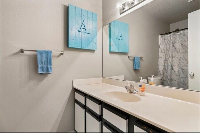 Guest Bathroom - 707 E Eastview Dr