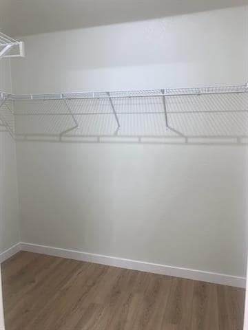 Building Photo - 3705 Palm Dr