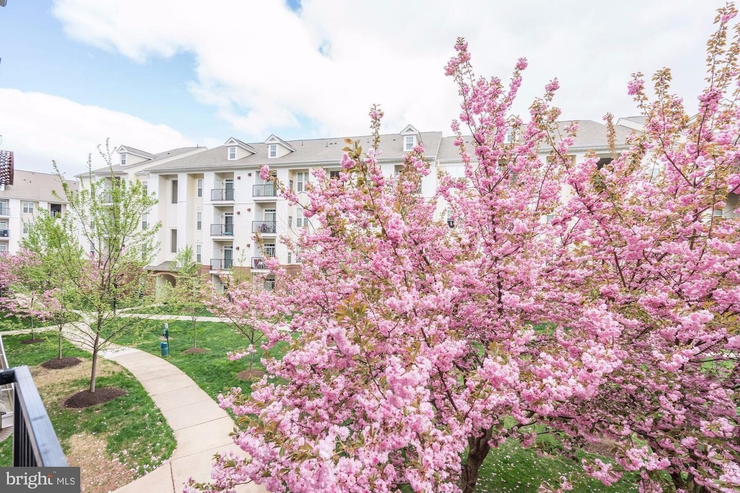 Building Photo - 21228 McFadden Sq