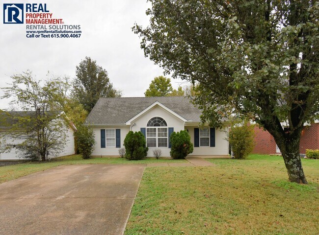 Primary Photo - Adorable 3BD 2BA in north Murfreesboro w/ ...