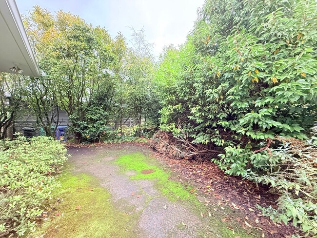 Building Photo - Beautiful 4 Bedroom Home with Fully Fenced Backyard!