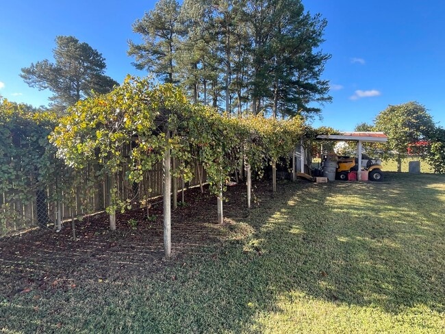 Building Photo - Quiet setting between Angier and Fuquay Varina