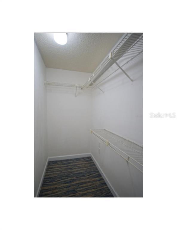 Building Photo - 11713 Raintree Village Blvd
