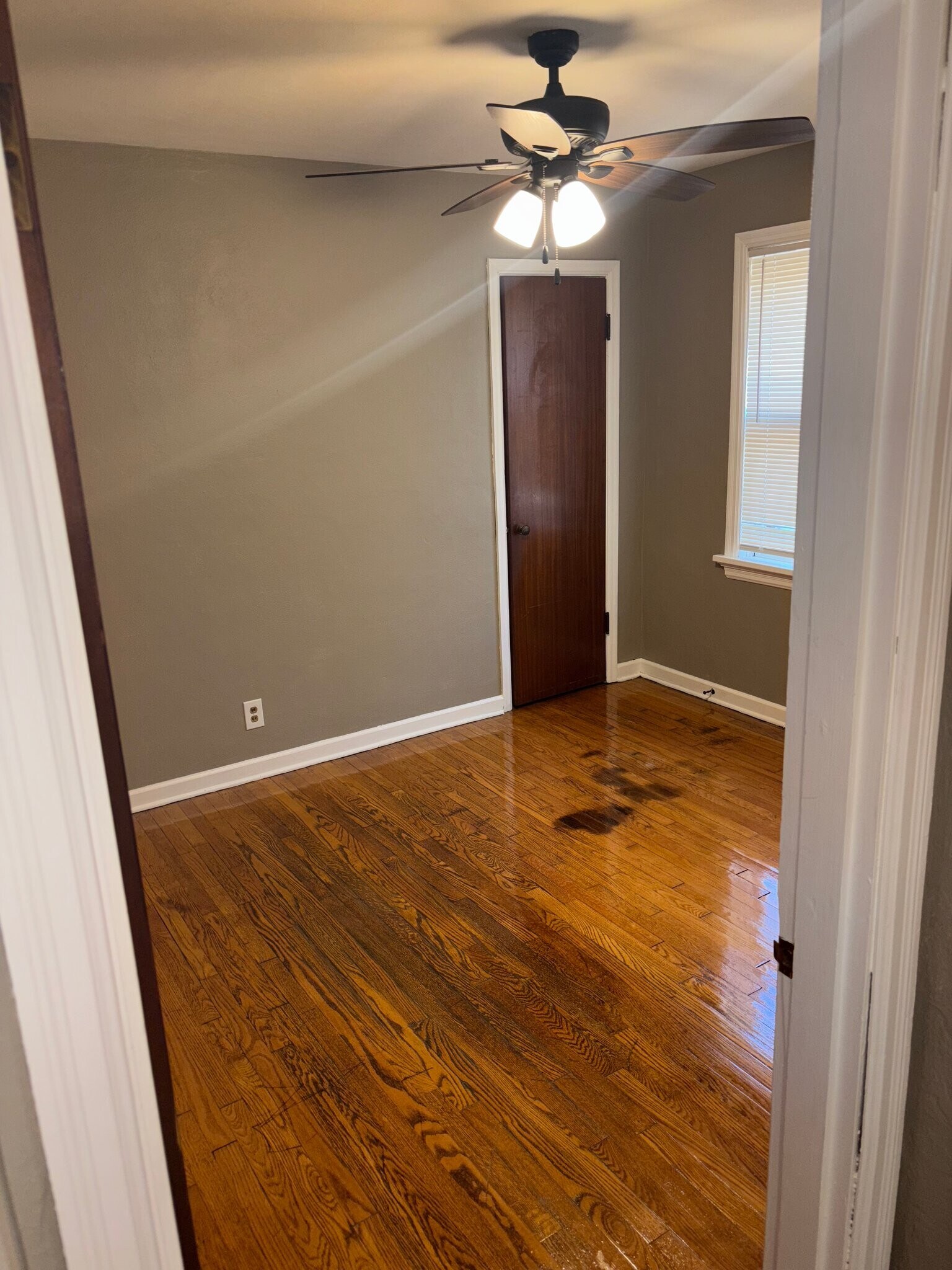 Building Photo - 1534 Orchid Ave