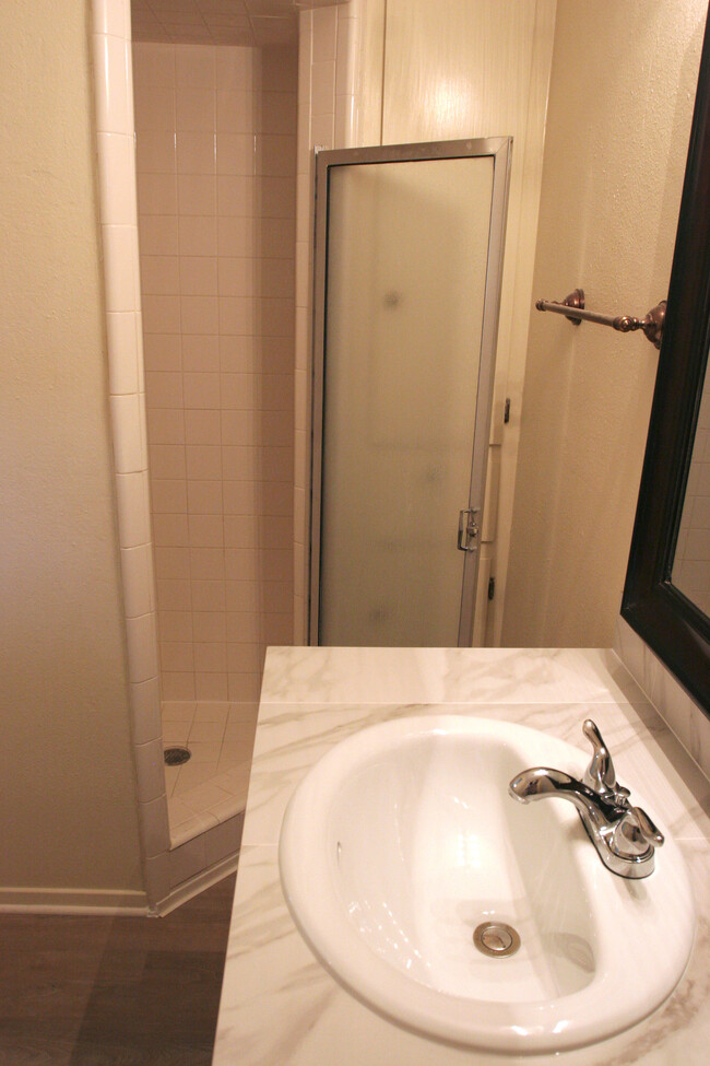 Master bathroom, shower - 327 Briarwood Dr