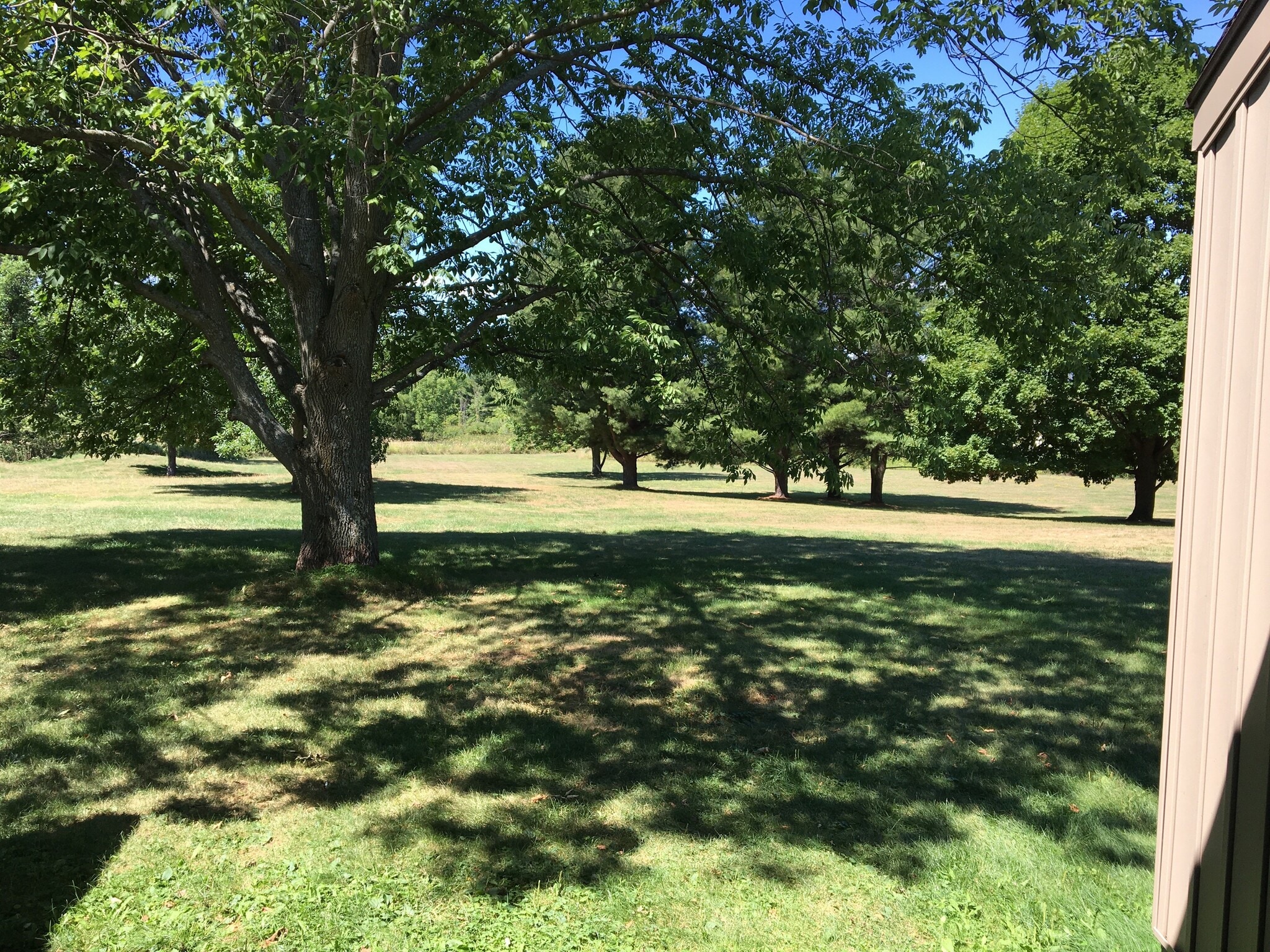 Building Photo - 1047 Danby Rd