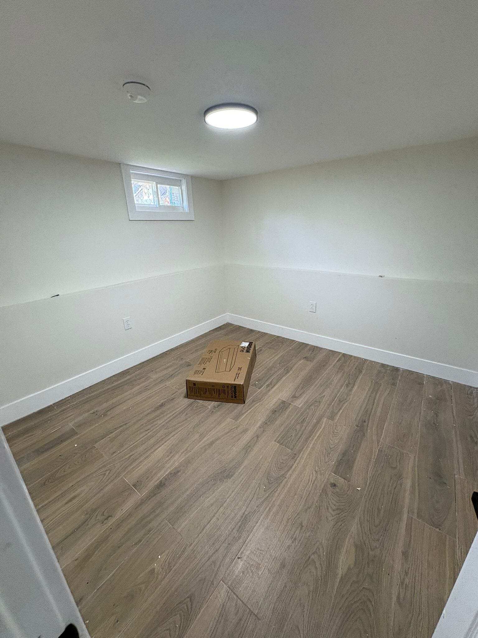 Basement - 49 Rosehill Pl