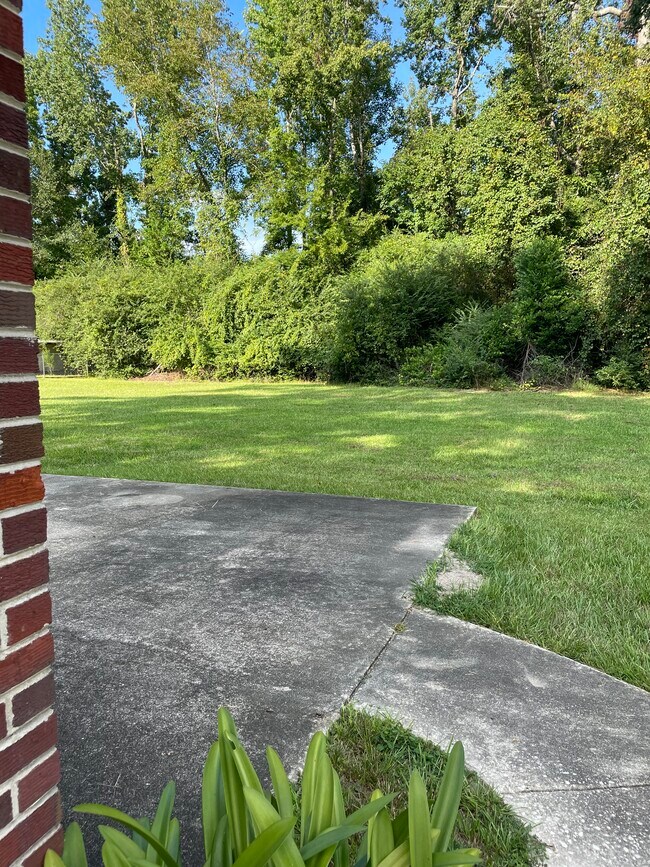 Backyard - 15521 Calhoun Road