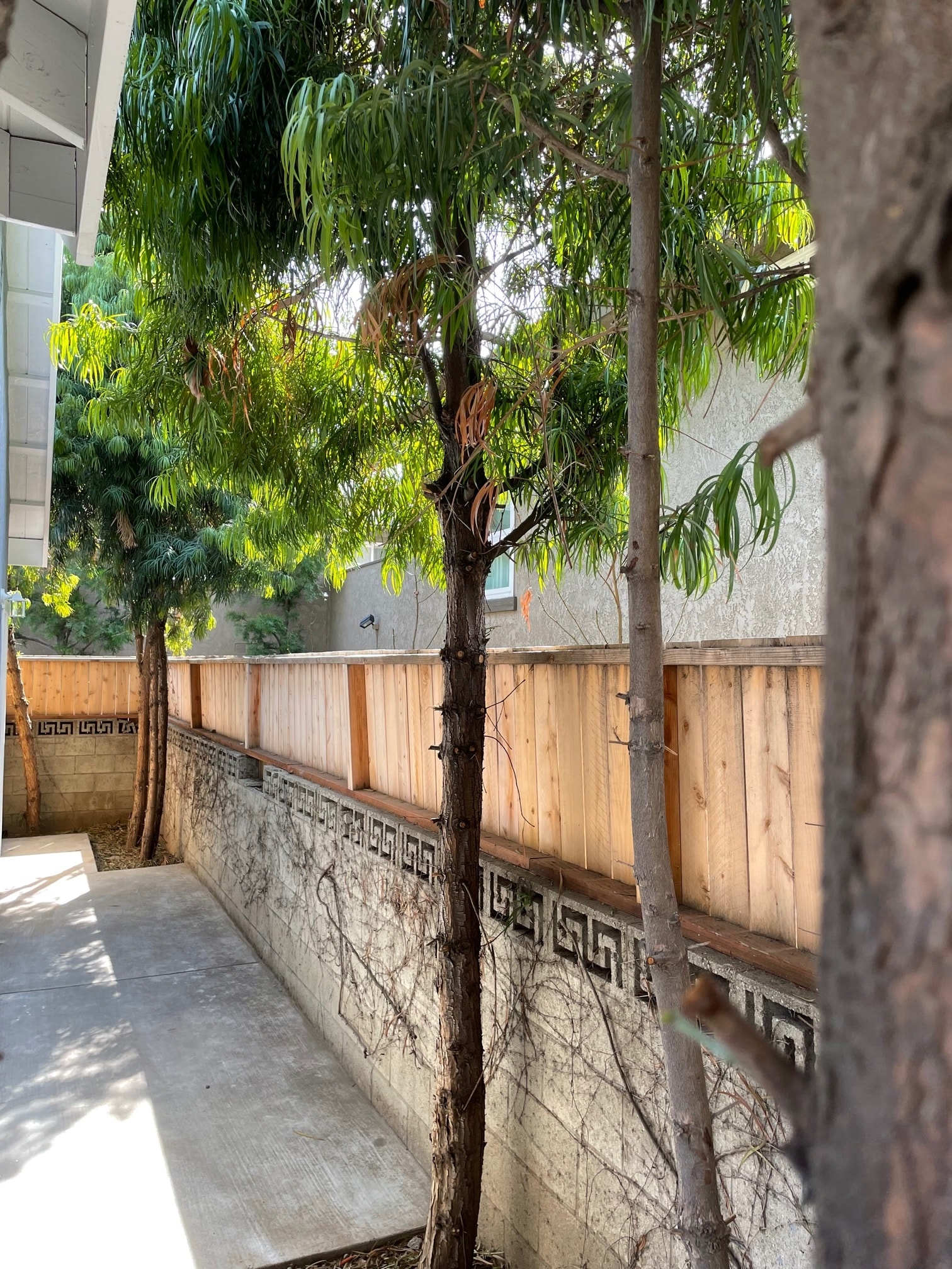 Private Back Patio - 143 N Barranca Ave