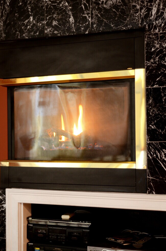 Building Photo - 199 Court St