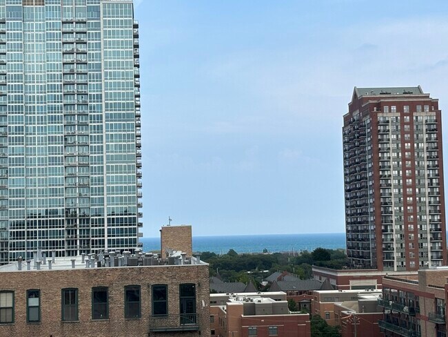 Building Photo - 1620 S Michigan Ave
