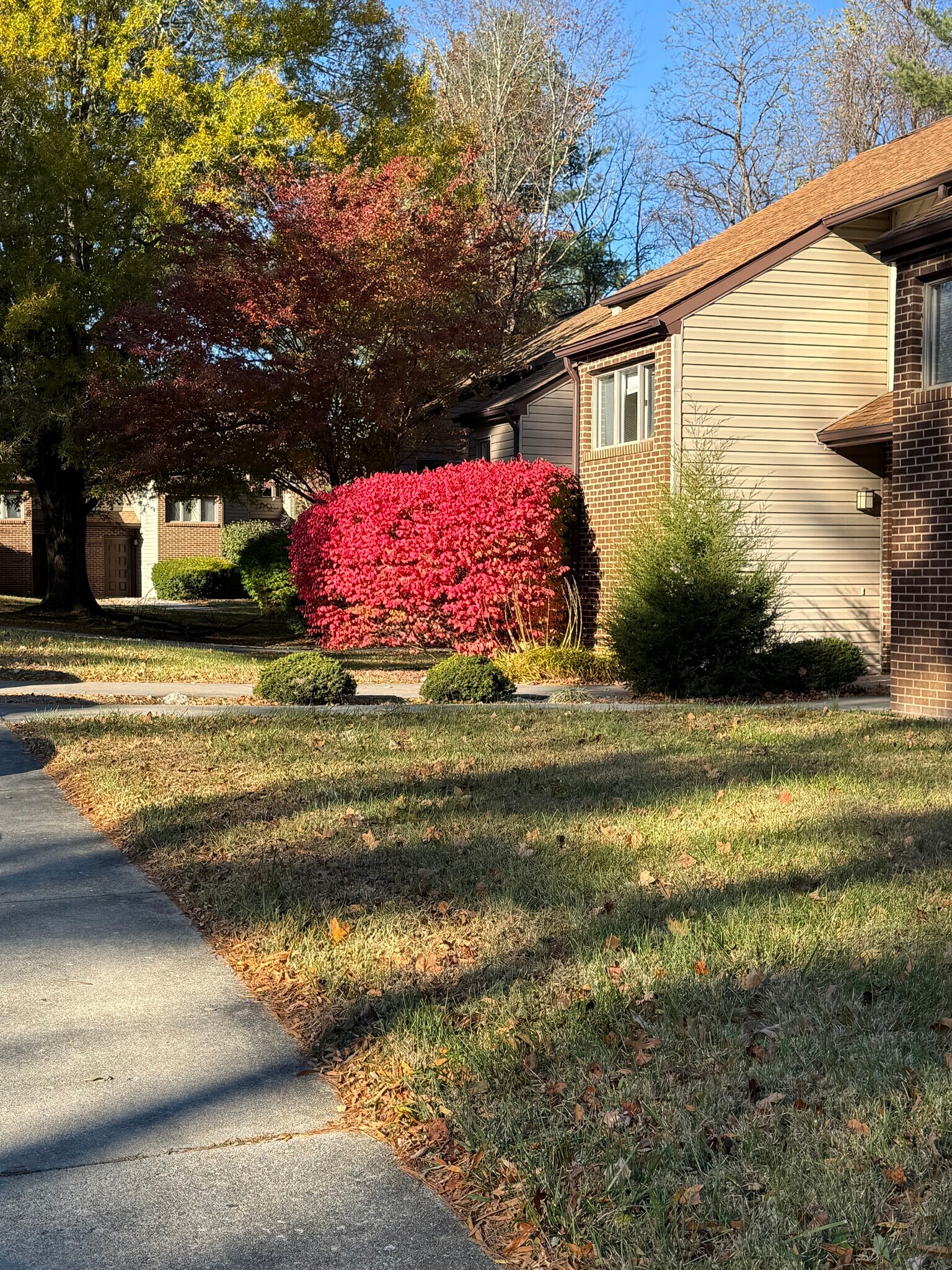 Building Photo - 334 Shenandoah Cir
